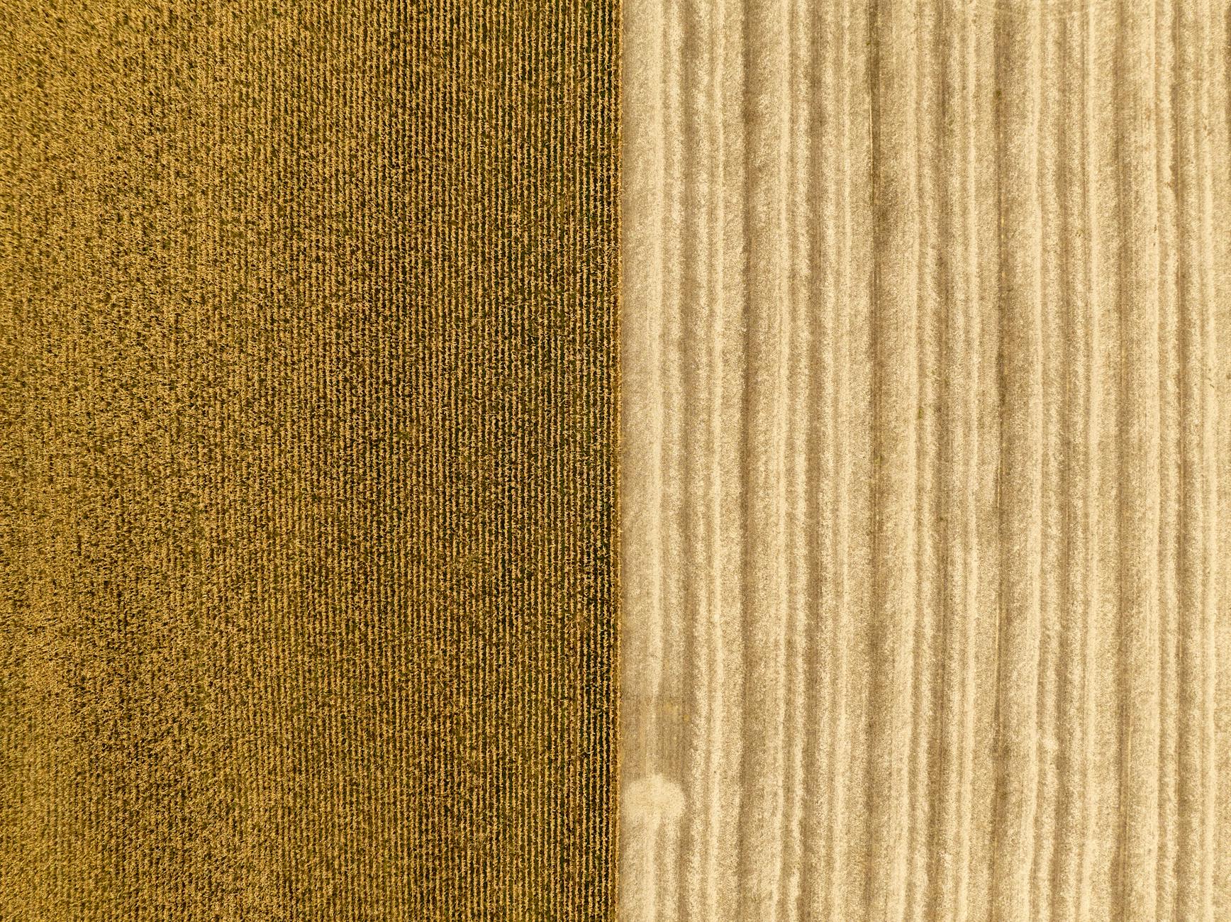 Side-by-side comparison of GPT Image 2 vs GPT Image 1 text rendering quality in AI-generated images